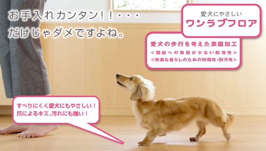 ワンラブフロア