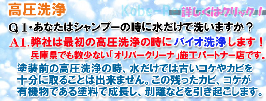 バイオ洗浄